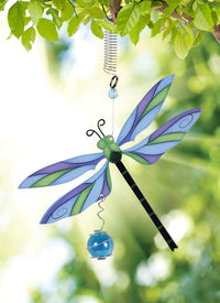 Dragonfly. Bouncy