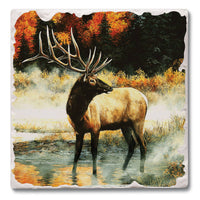 "Elk In The Mist" Single Tumbled Tile Coaster