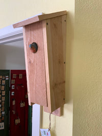 Mountain Bluebird House