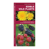Edible Wild Plants