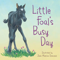 BOOK: Little Foal's Busy Day board book