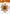 Sunflower Wall Decor