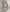 739464, 24