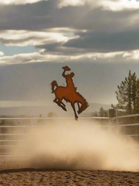 University of Wyoming Bronc Rider western magnet