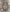 739433, 18