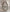 739464, 24