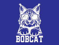 YOUTH T-SHIRT: Bobcat in Sunglasses