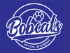 YOUTH T-SHIRT: Vintage Upton Bobcat Design