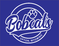 YOUTH T-SHIRT: Vintage Upton Bobcat Design