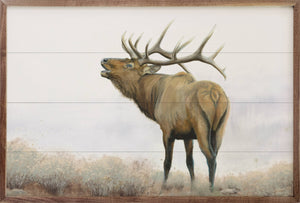 Majestic Elk Brown By James Wiens 16"X10"