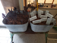 Sagebrush Washtubs