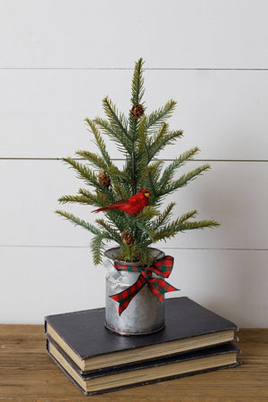 Christmas Tree - Evergreen in Milk Can, Cardinal, Mini Cones (PC)