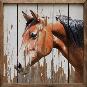 Brown Horse 12"X12"X1.5"