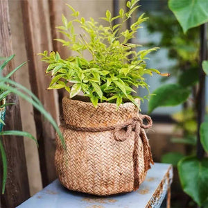 CEMENT SACK WITH ROPE TIE PLANTER