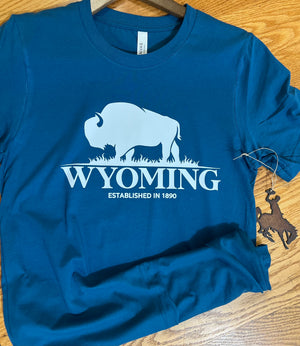 Wyoming White Buffalo on a teal T-Shirt