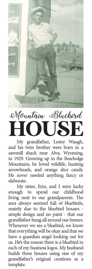 Mountain Bluebird House