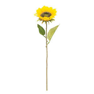 Blooming Sunflower Stem, Yellow